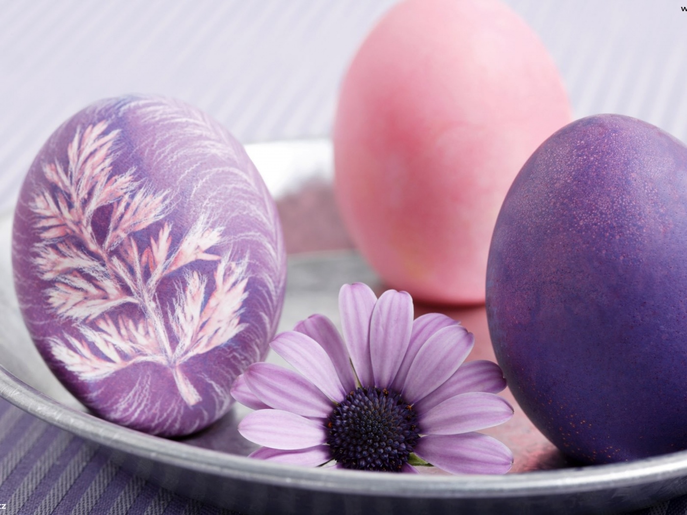 Easter Search Purple Three Image Wallpaper