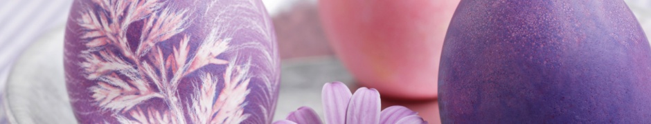 Eggs And A Mauve Flower