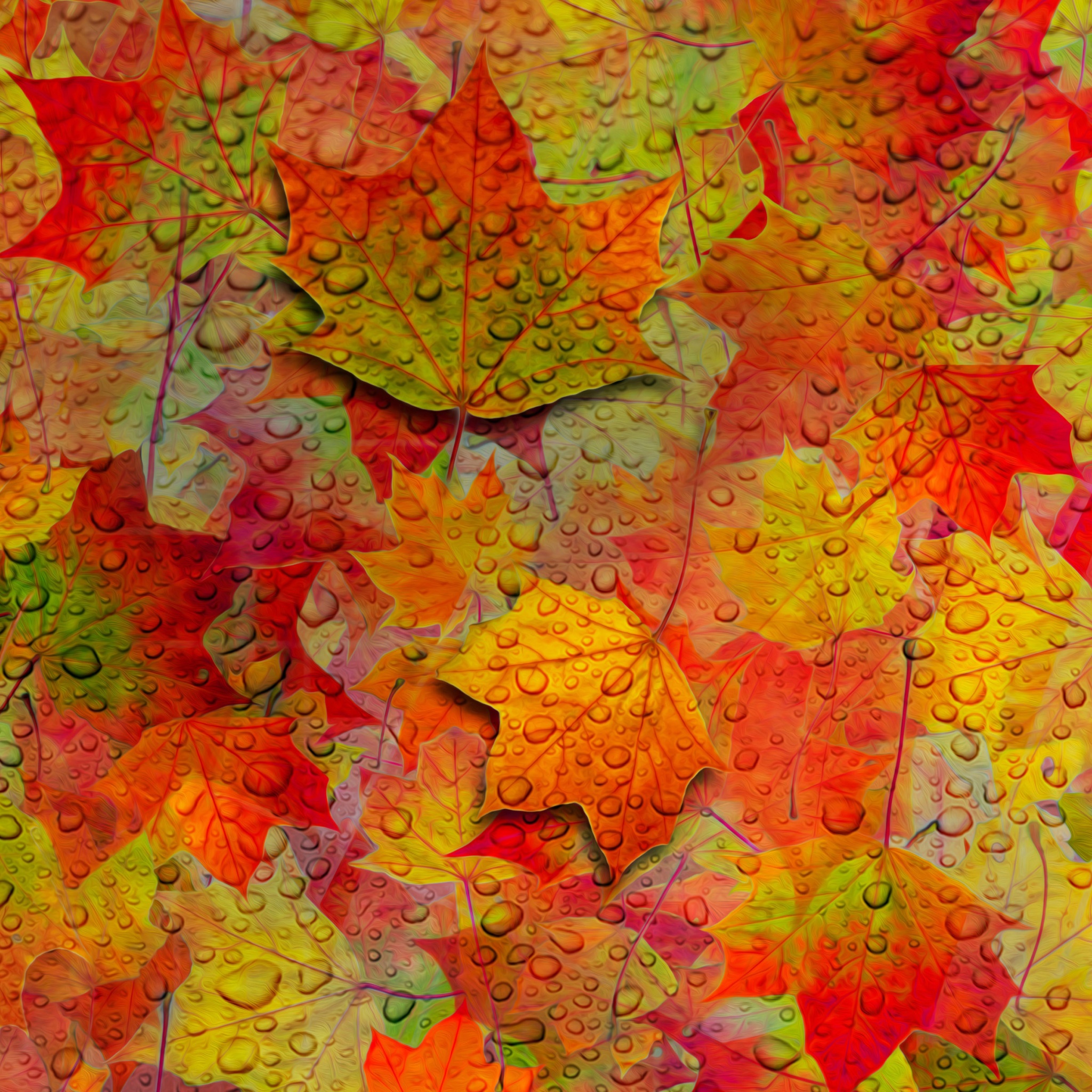 Fall Leaves Pattern