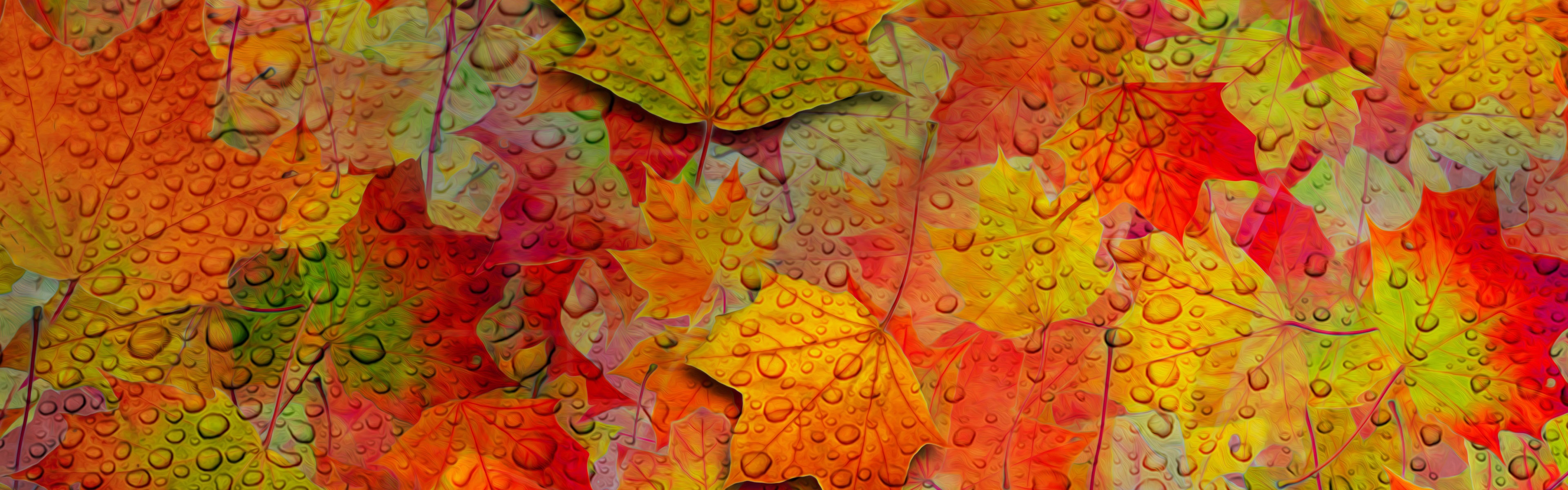 Fall Leaves Pattern