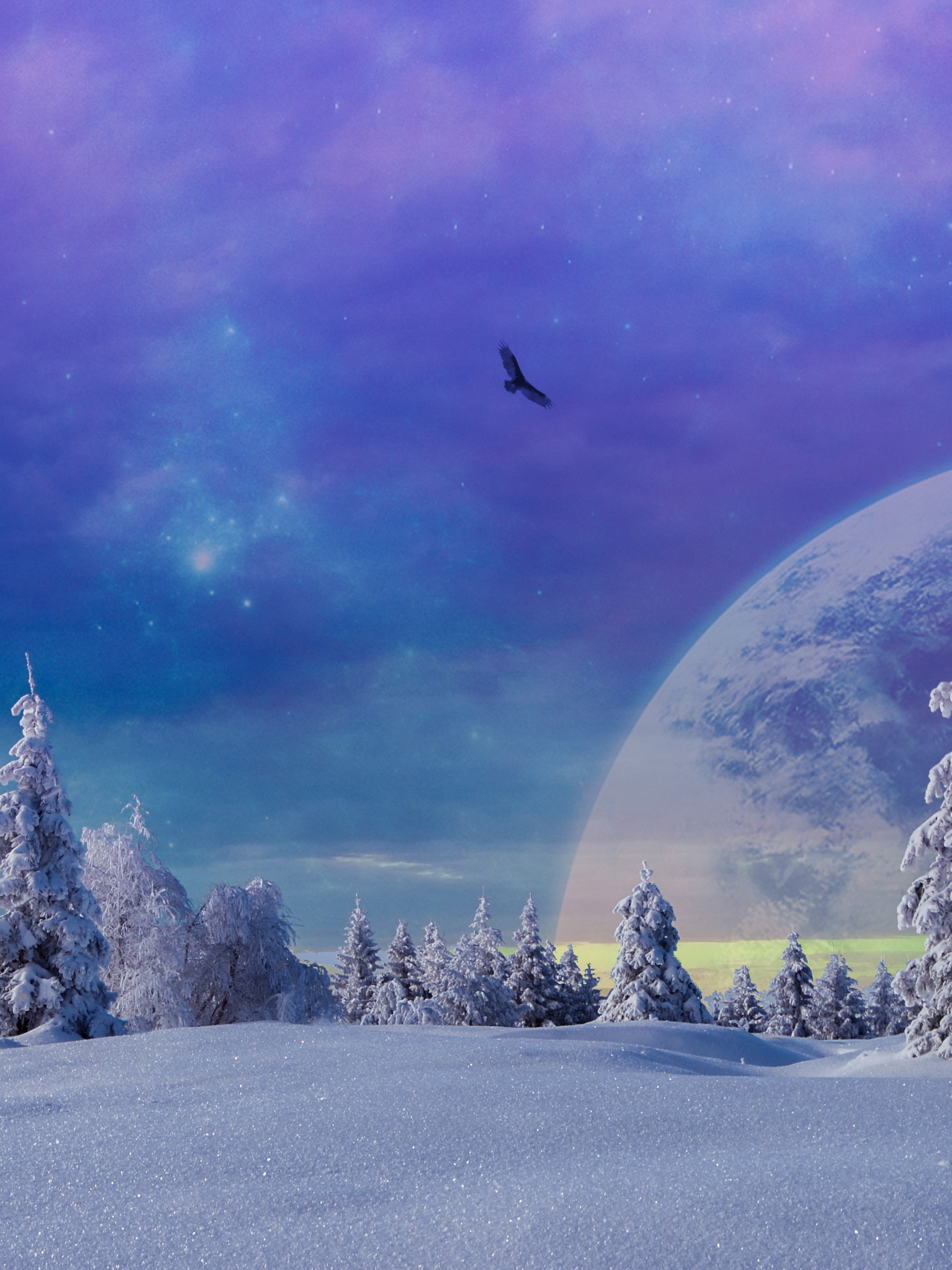 Fantasy Winter Scenery