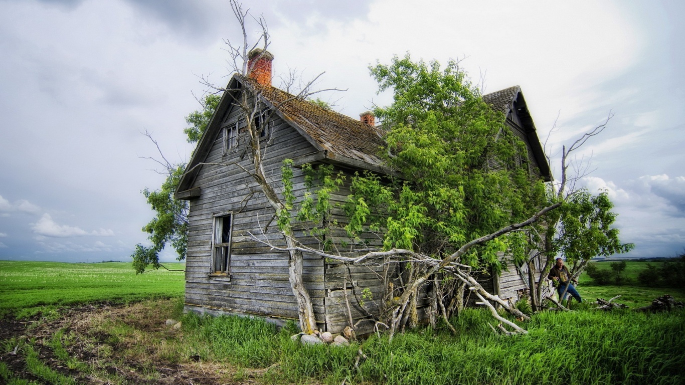 Field House Landscape