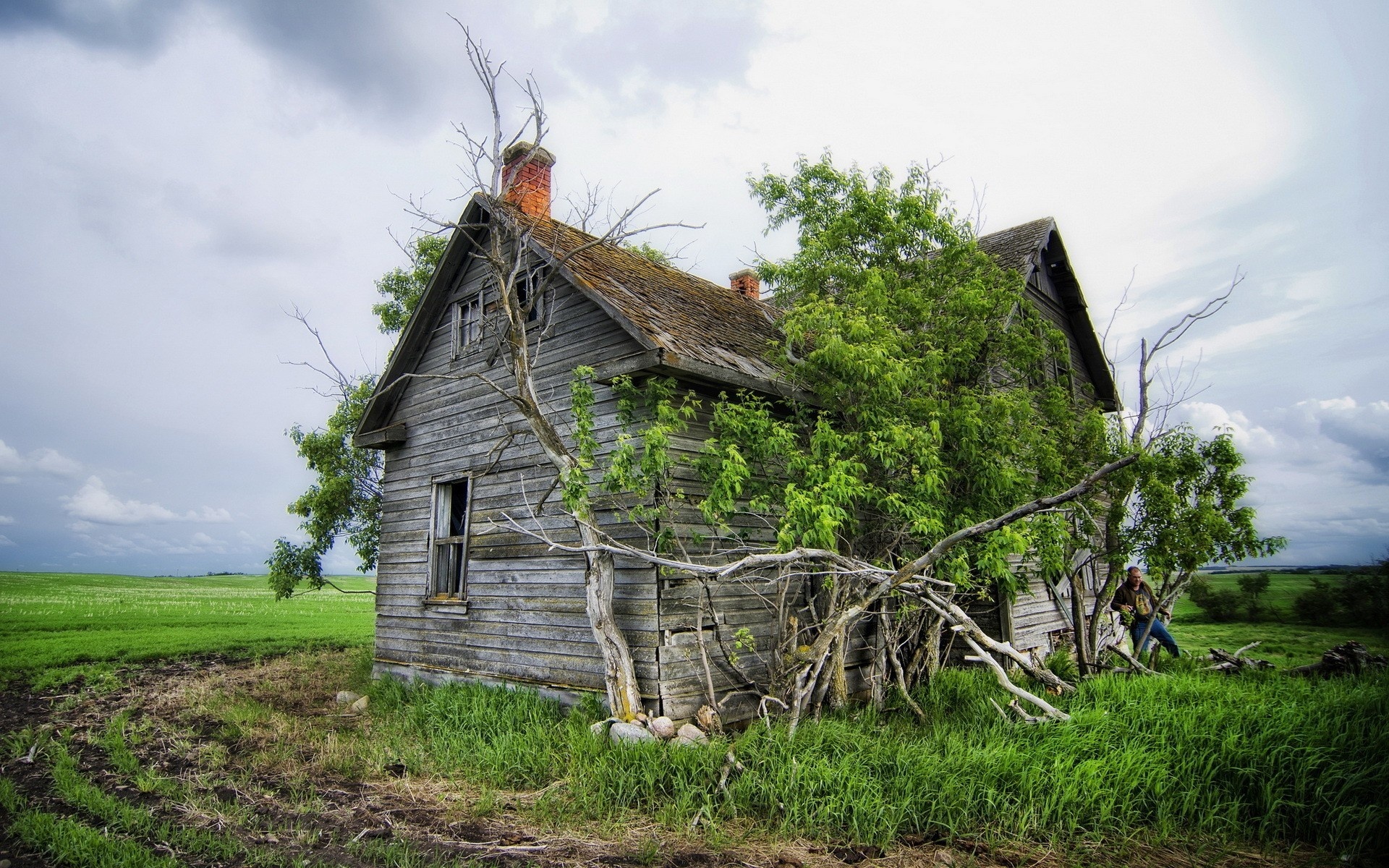 Field House Landscape