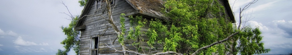 Field House Landscape