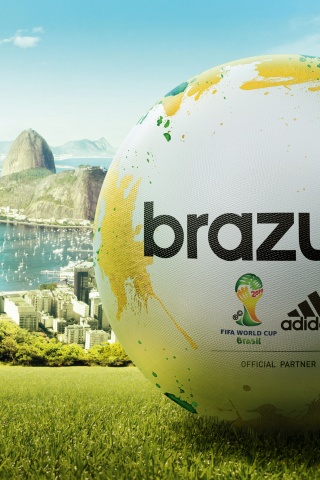 FIFA World Cup 2014 Brazil