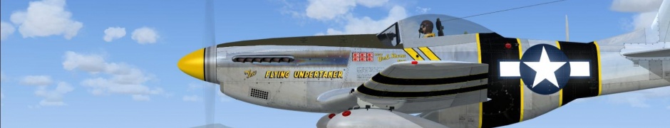 Fighter Prop P 51 Mustang Snooks