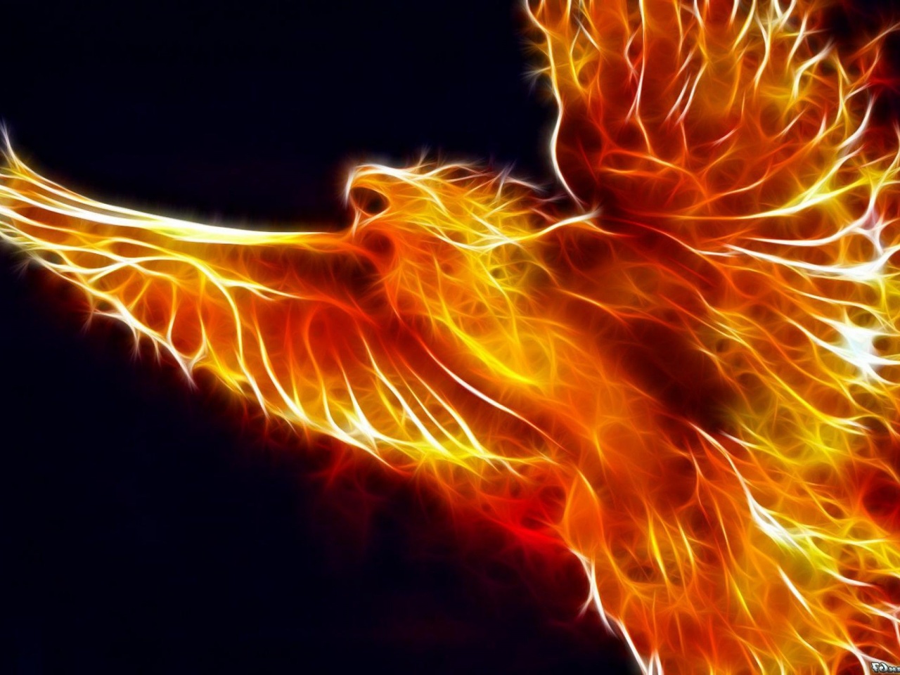 Fire bird