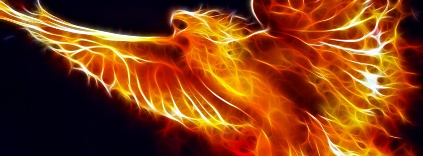 Fire bird