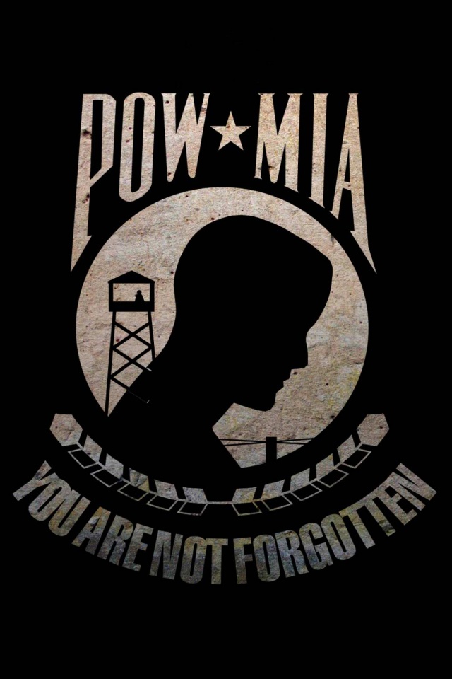 Flag Pow Mia