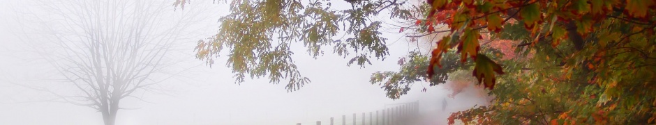 Foggy Autumn Morning