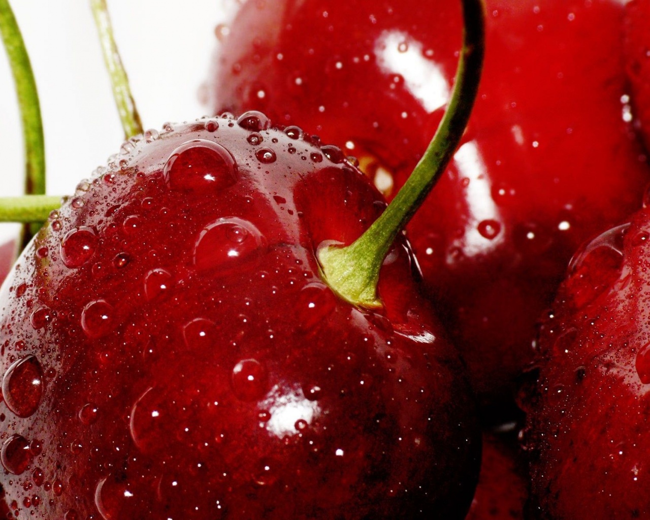 Food Cherries Water Drops Macro Berries