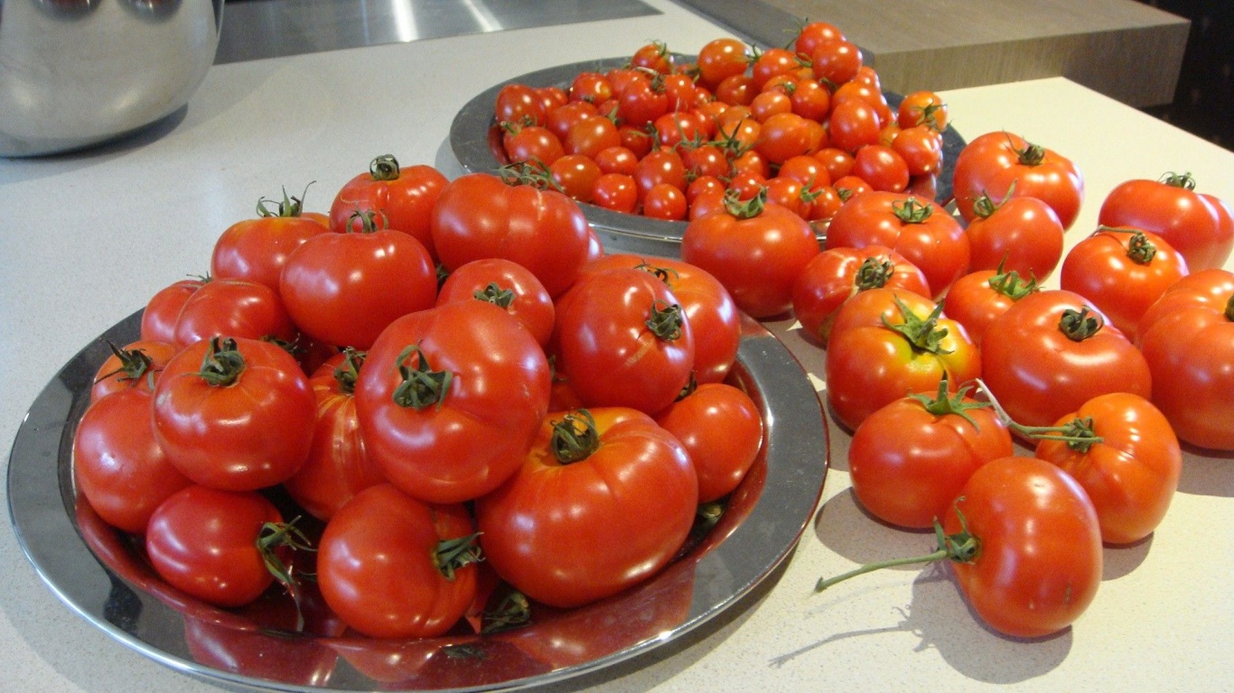 Food Tomatoes 1