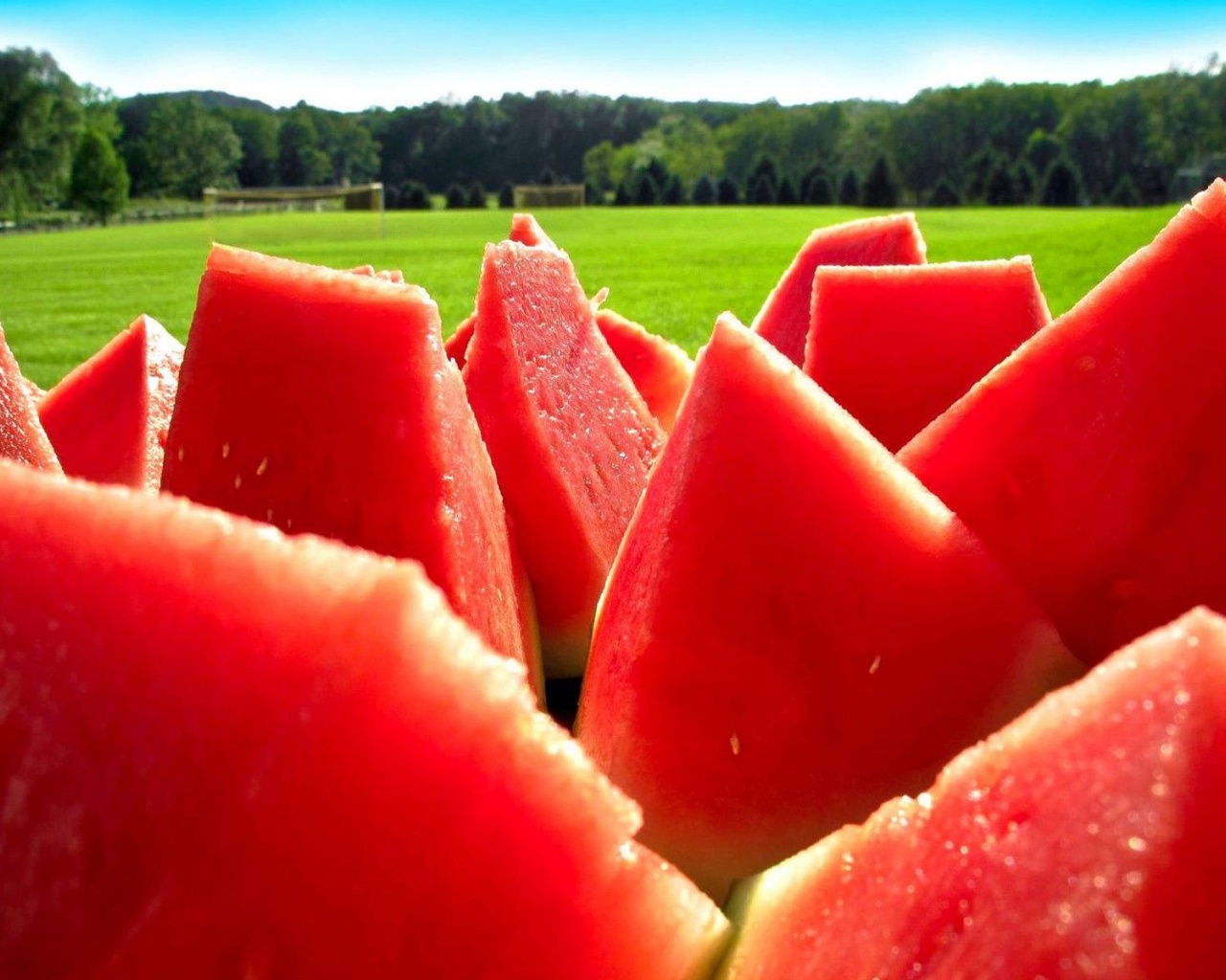 Food Watermelons