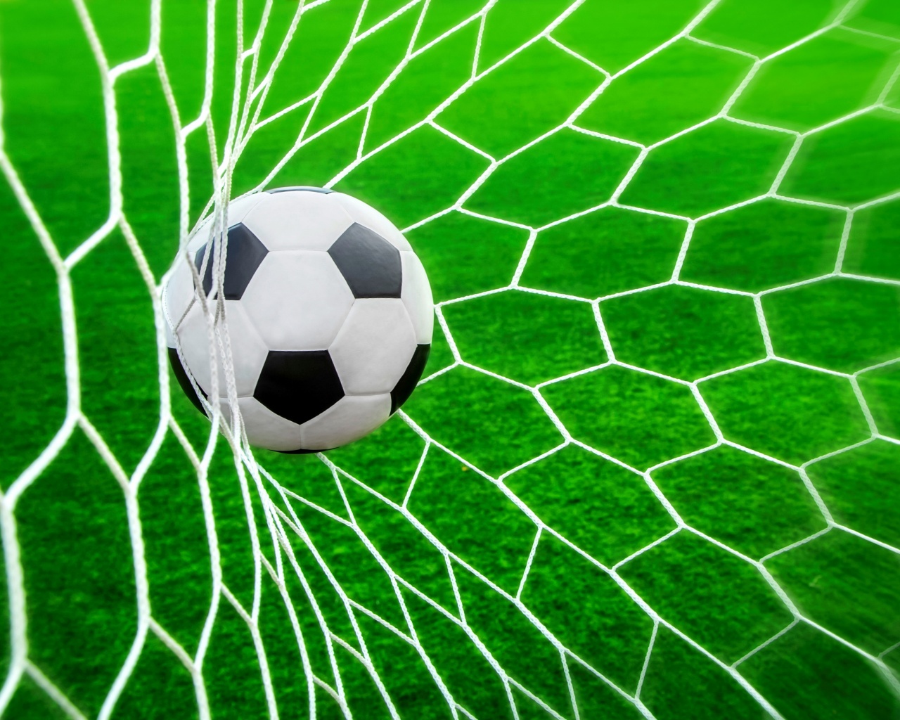 Football Ball In The Net