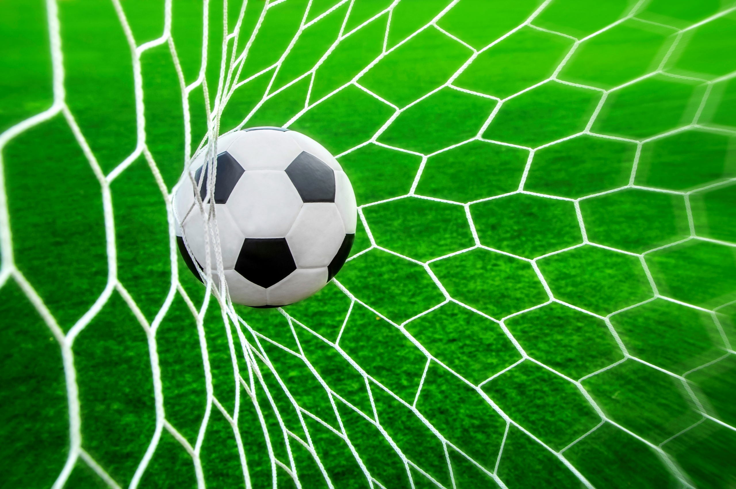 Football Ball In The Net