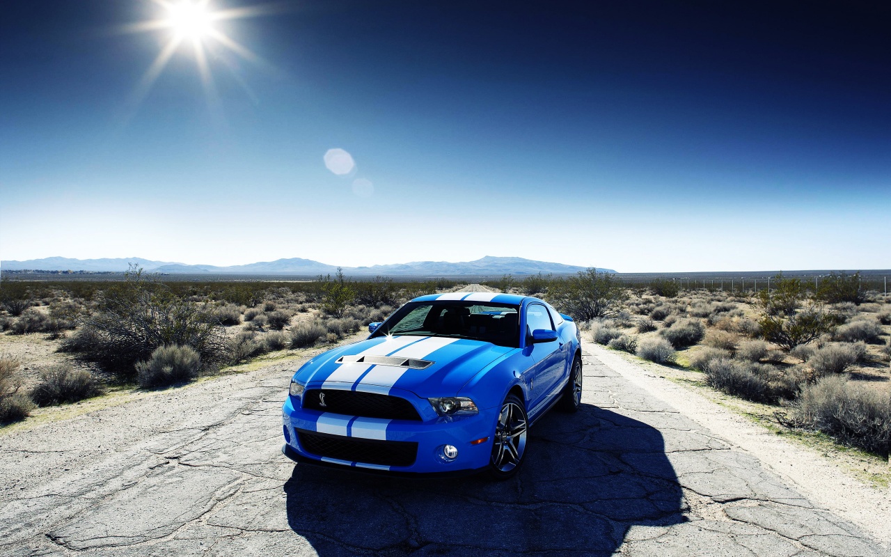 Ford Shelby Gt500 Car