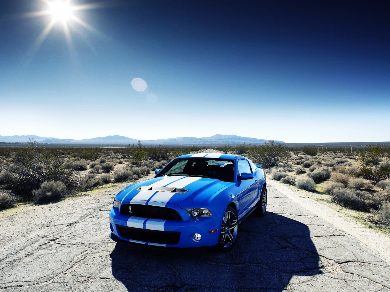 Ford Shelby Gt500 Car