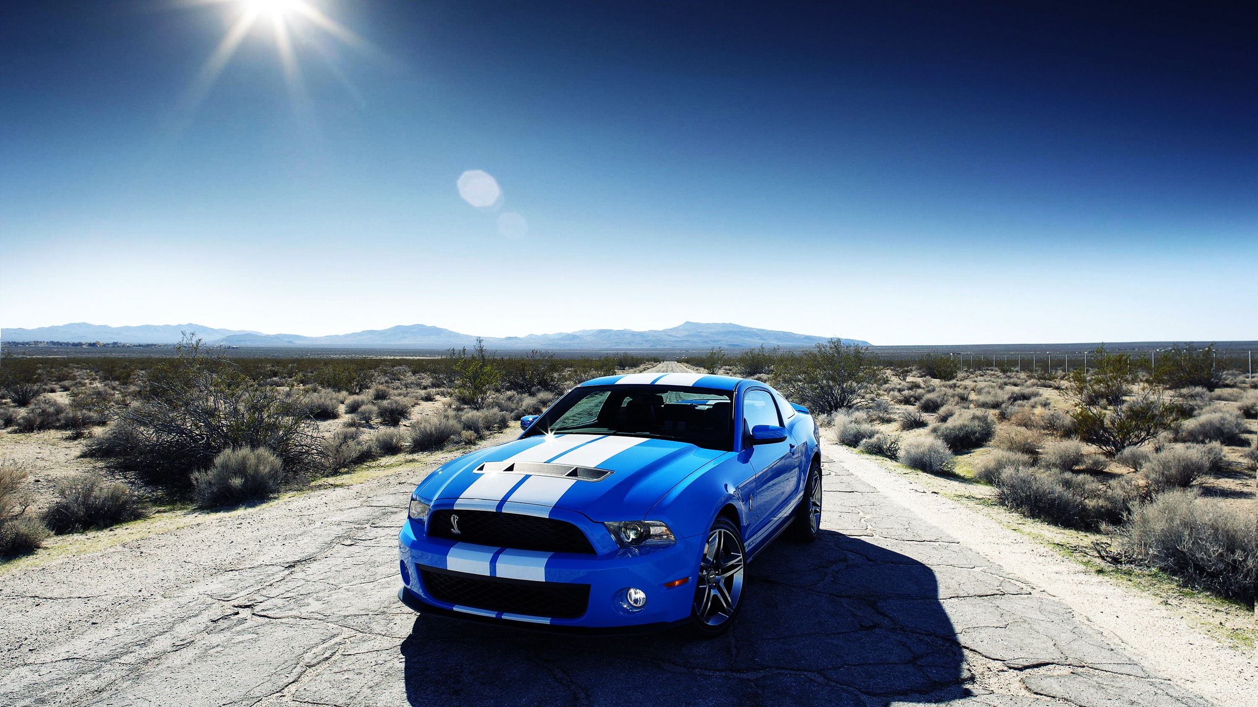 Ford Shelby Gt500 Car