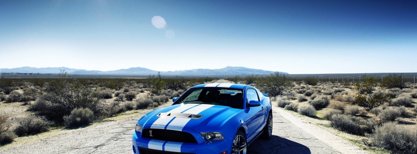 Ford Shelby Gt500 Car