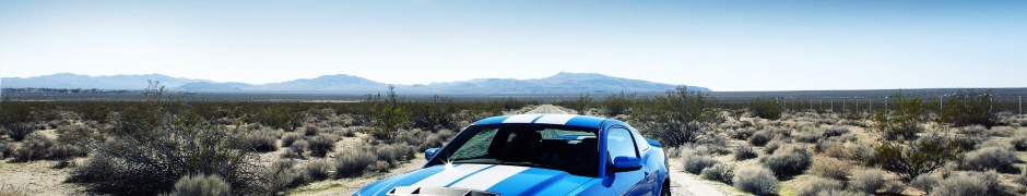 Ford Shelby Gt500 Car