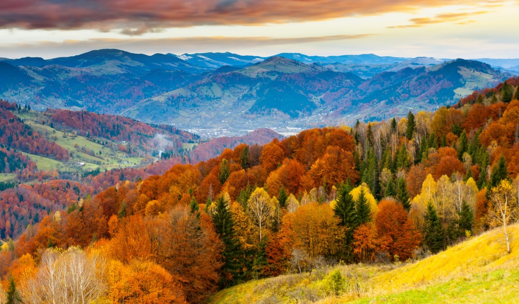 Forest Scenery Autumn Nature