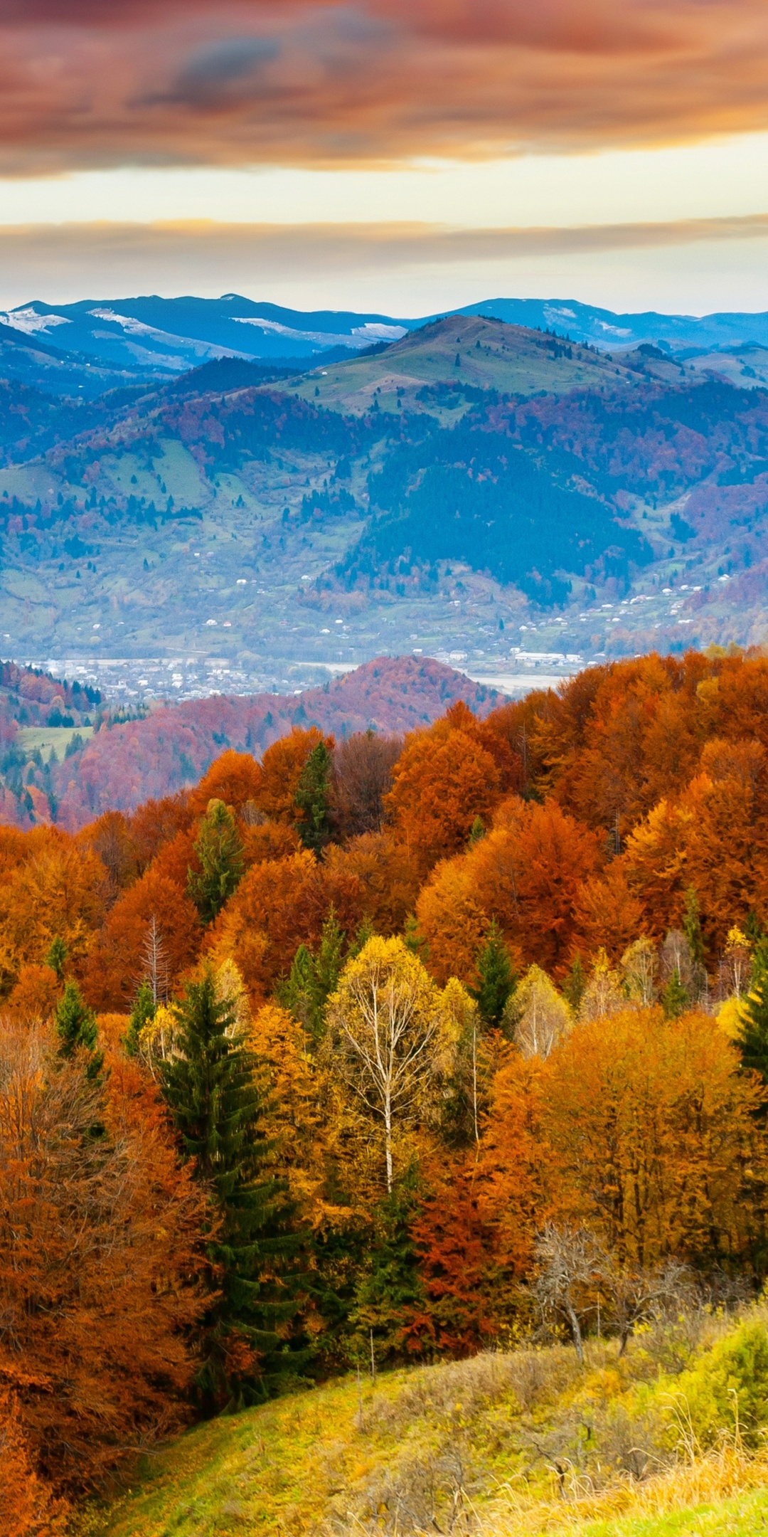 Forest Scenery Autumn Nature