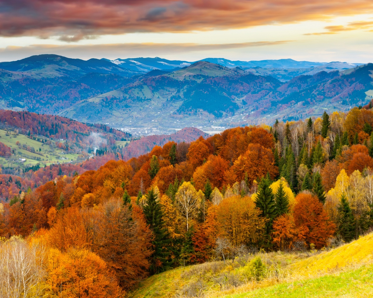 Forest Scenery Autumn Nature