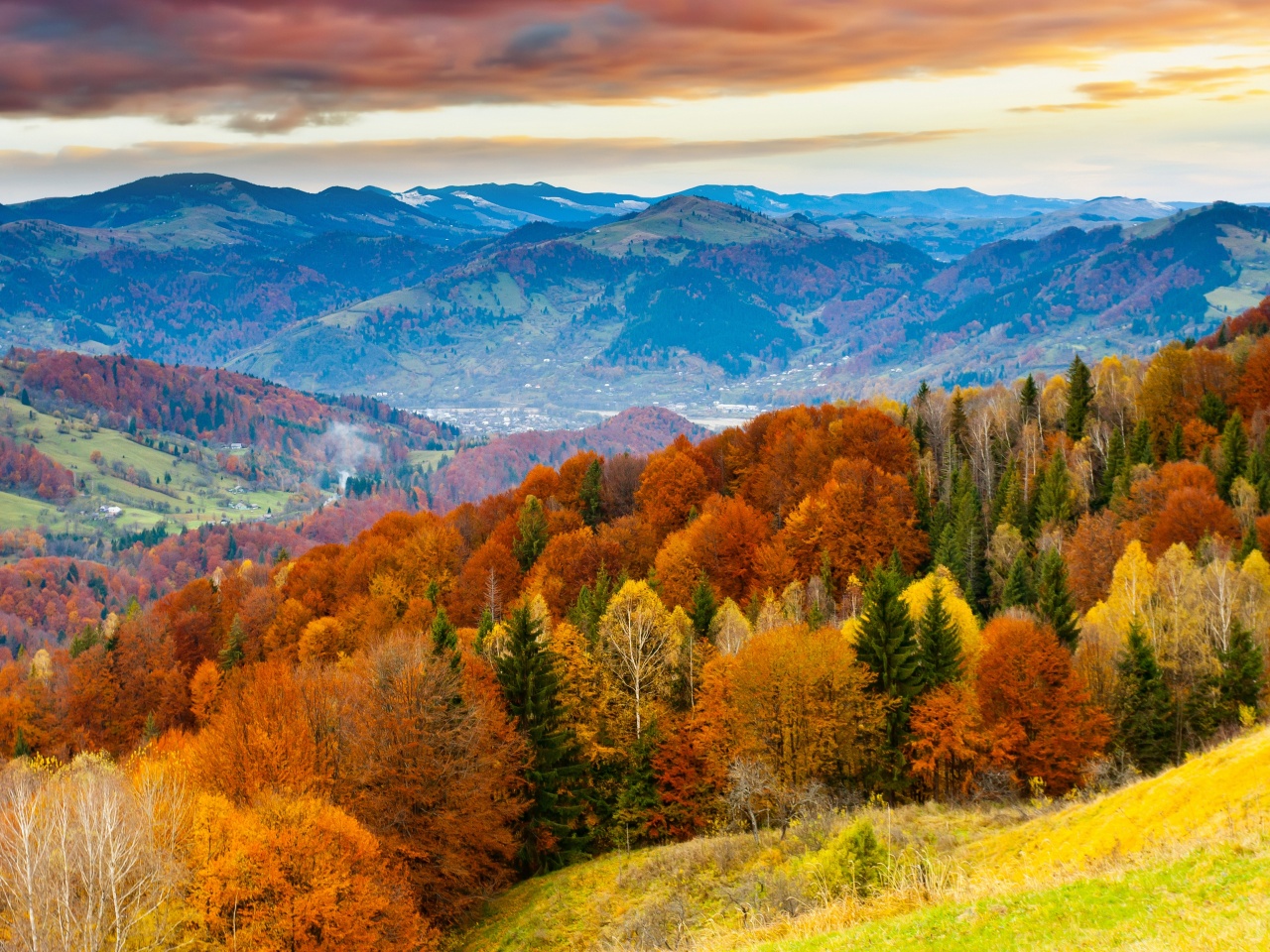 Forest Scenery Autumn Nature