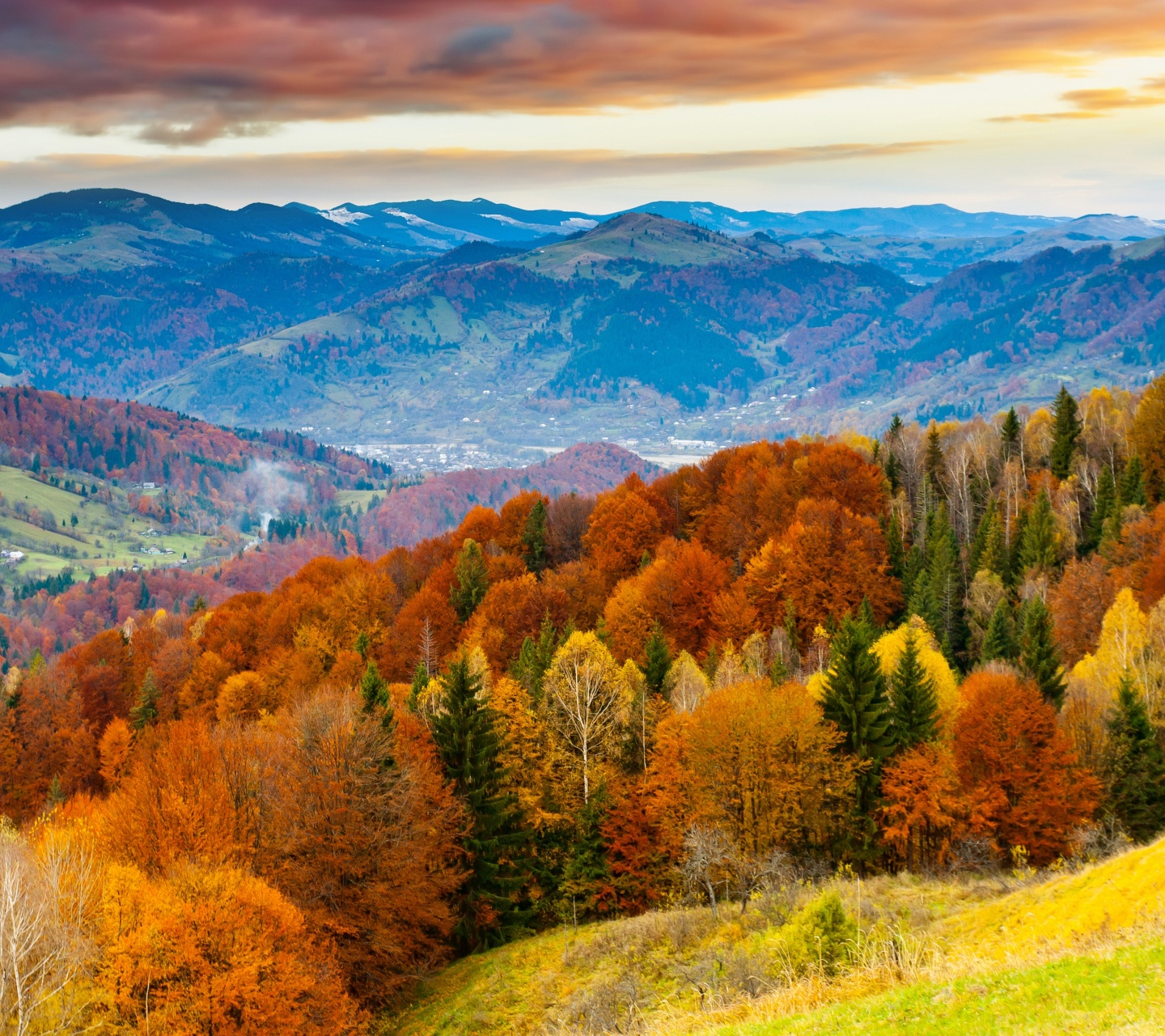 Forest Scenery Autumn Nature