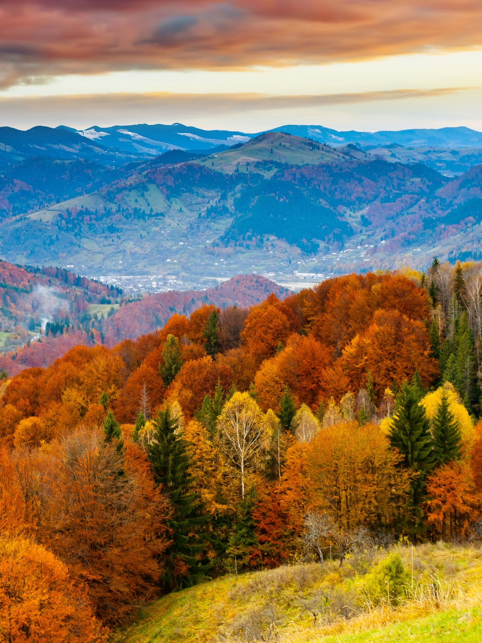 Forest Scenery Autumn Nature