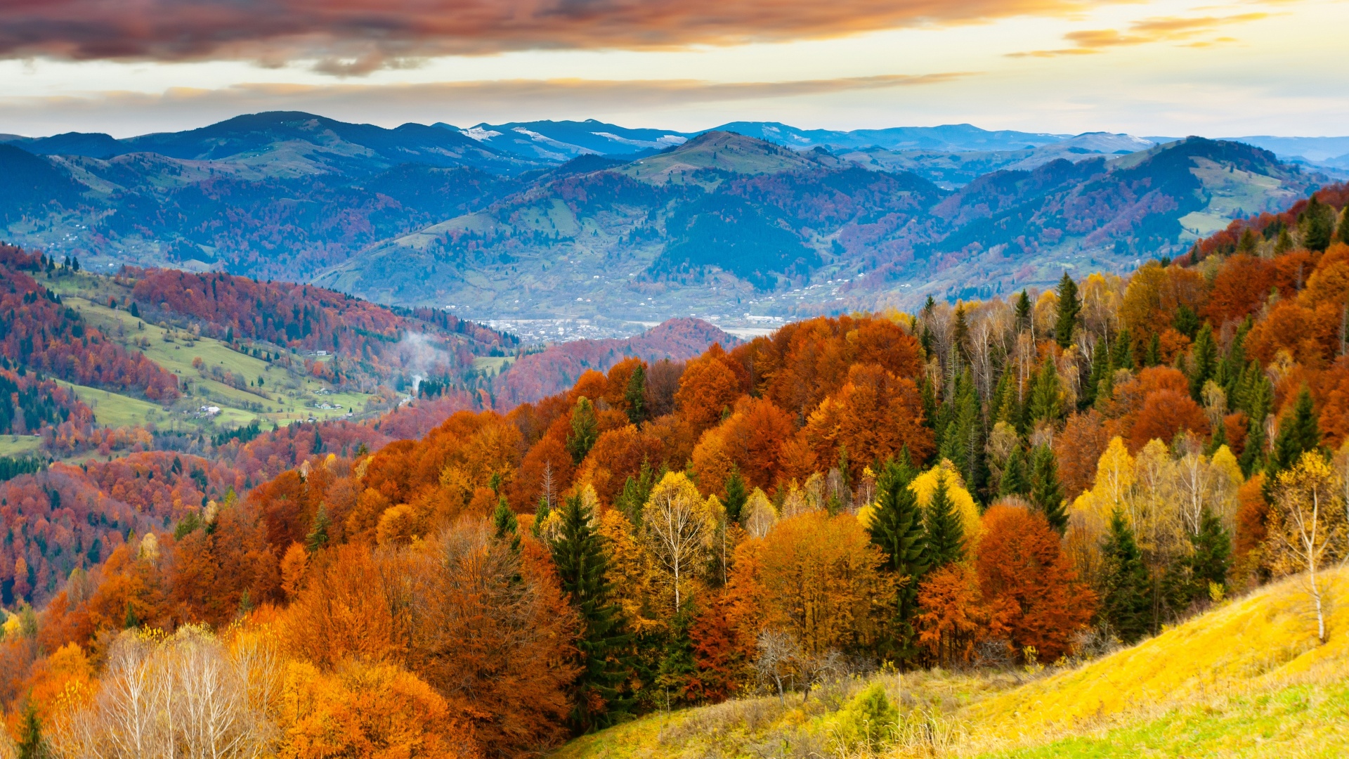 Forest Scenery Autumn Nature