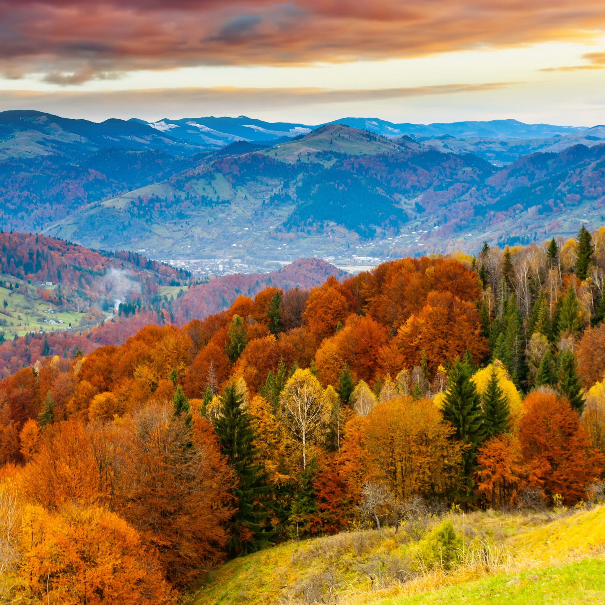 Forest Scenery Autumn Nature