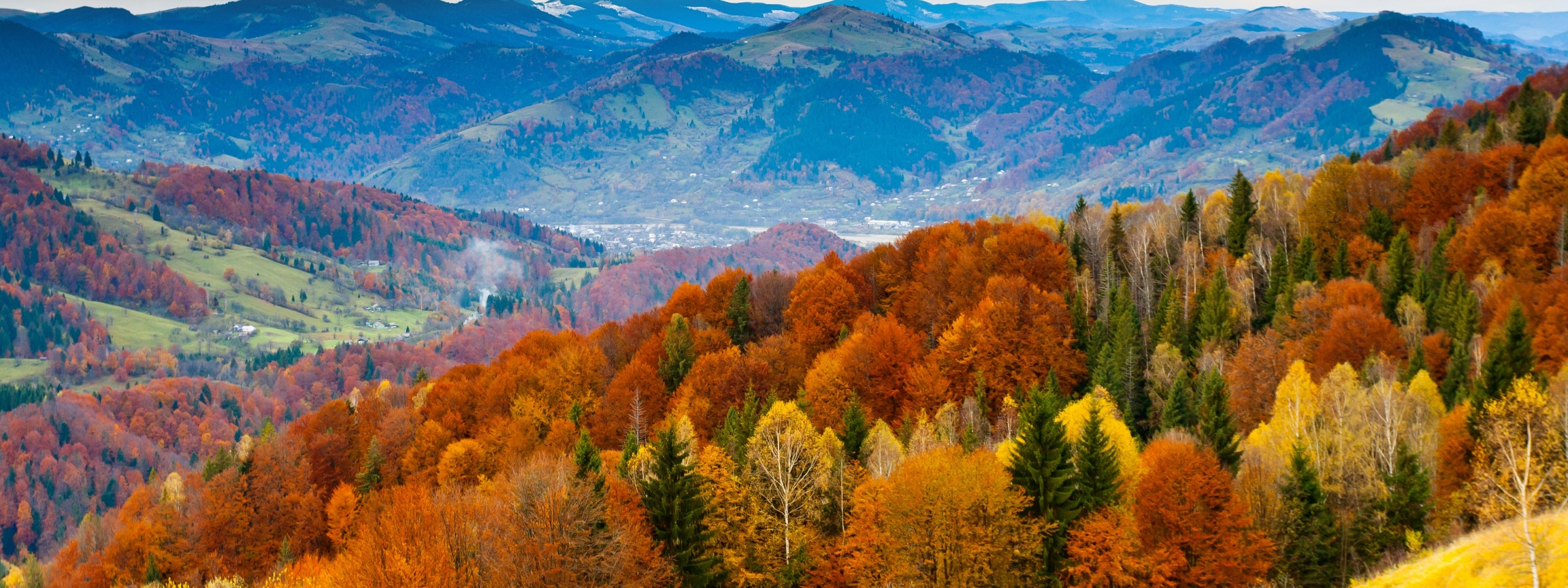 Forest Scenery Autumn Nature