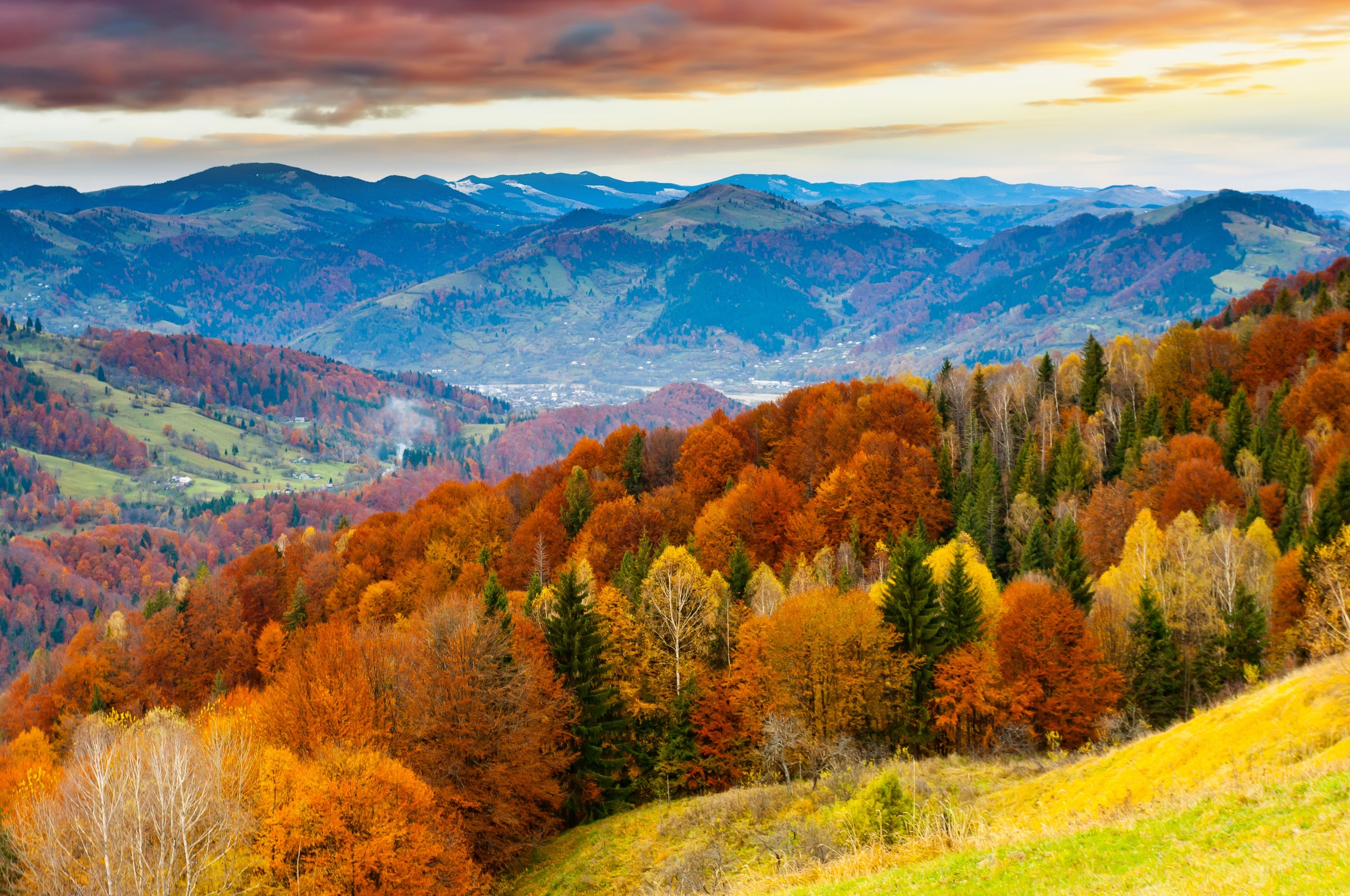 Forest Scenery Autumn Nature