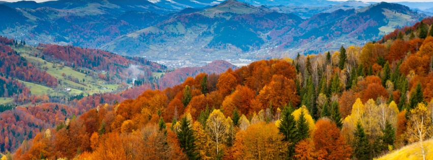 Forest Scenery Autumn Nature