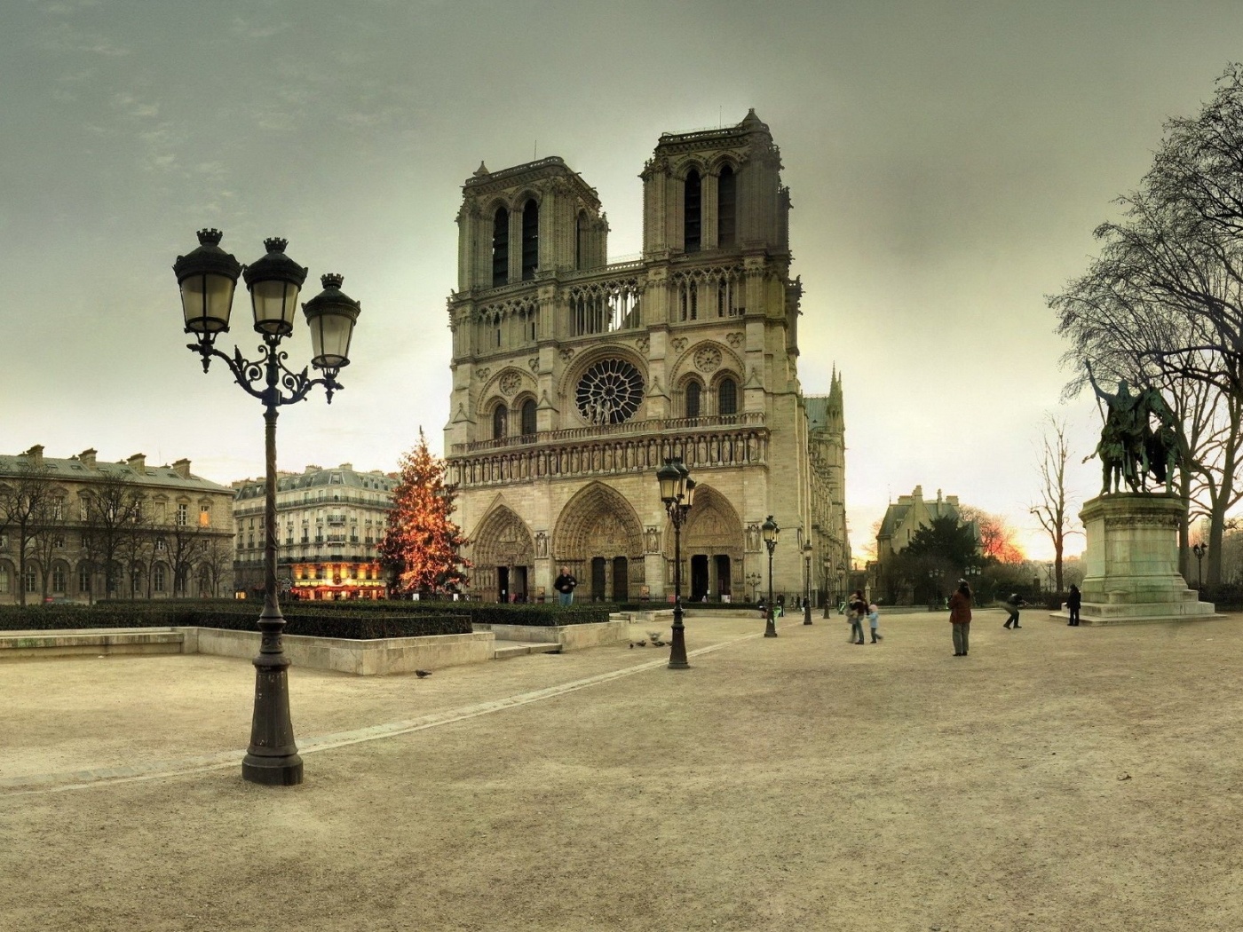 France Notre Dame De Paris Paris Tree Winter New Year Area Notre Dame Lights City Landscape