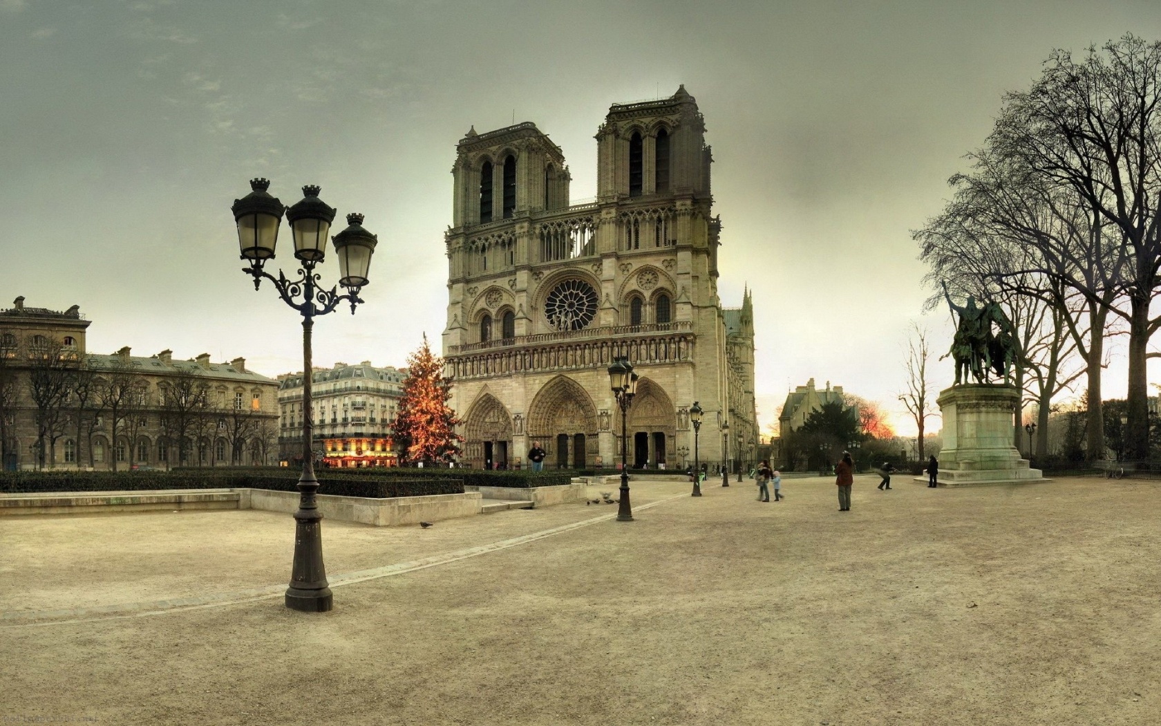 France Notre Dame De Paris Paris Tree Winter New Year Area Notre Dame Lights City Landscape