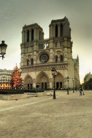 France Notre Dame De Paris Paris Tree Winter New Year Area Notre Dame Lights City Landscape