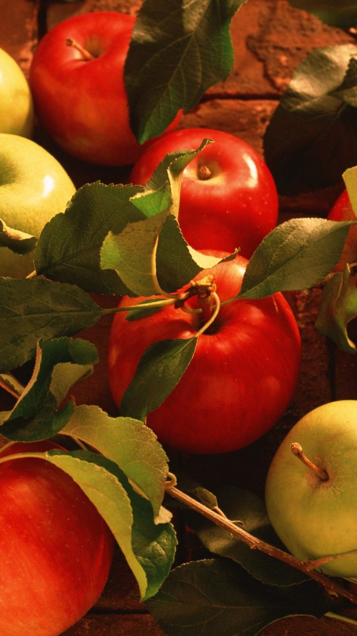 Fruits Food Bricks Apples