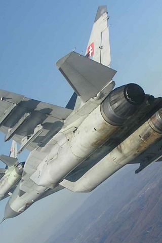 Fulcrum Mig Mig 29 Fulcrum Slovakia 6