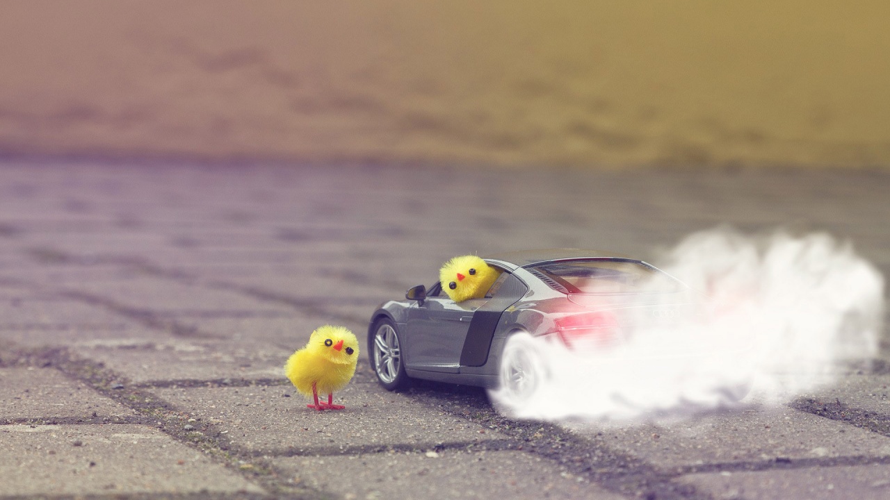 Funny Yellow Chickens In Audi R8