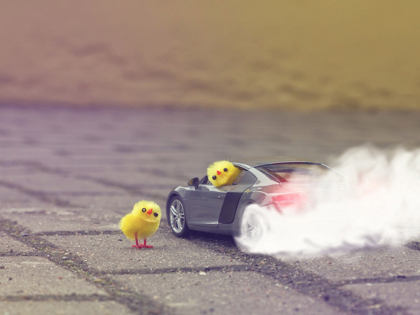 Funny Yellow Chickens In Audi R8