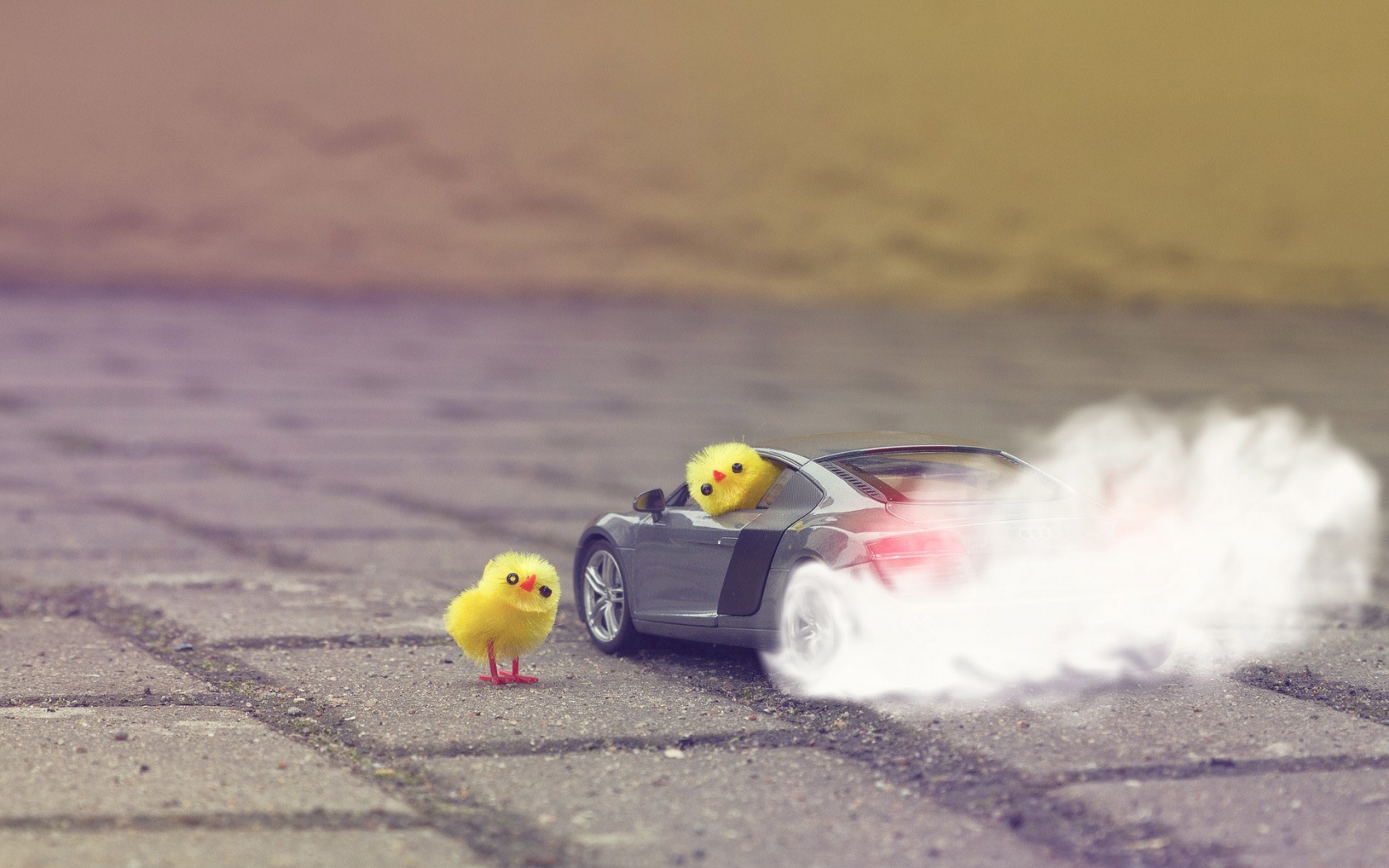 Funny Yellow Chickens In Audi R8