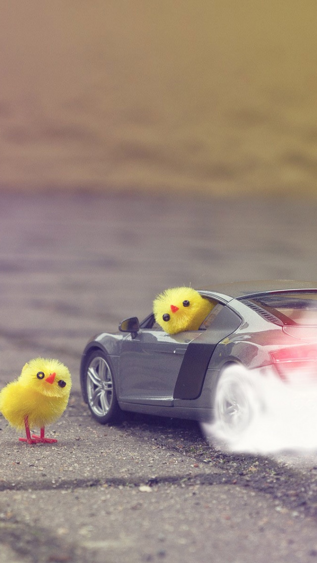 Funny Yellow Chickens In Audi R8