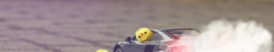 Funny Yellow Chickens In Audi R8