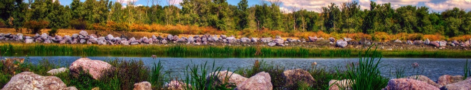 Gheraiesti Park - Bacau Romania