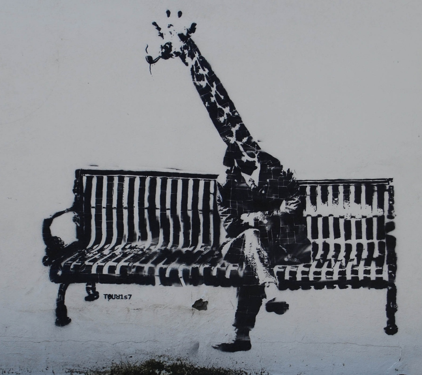 Giraffe Graffiti