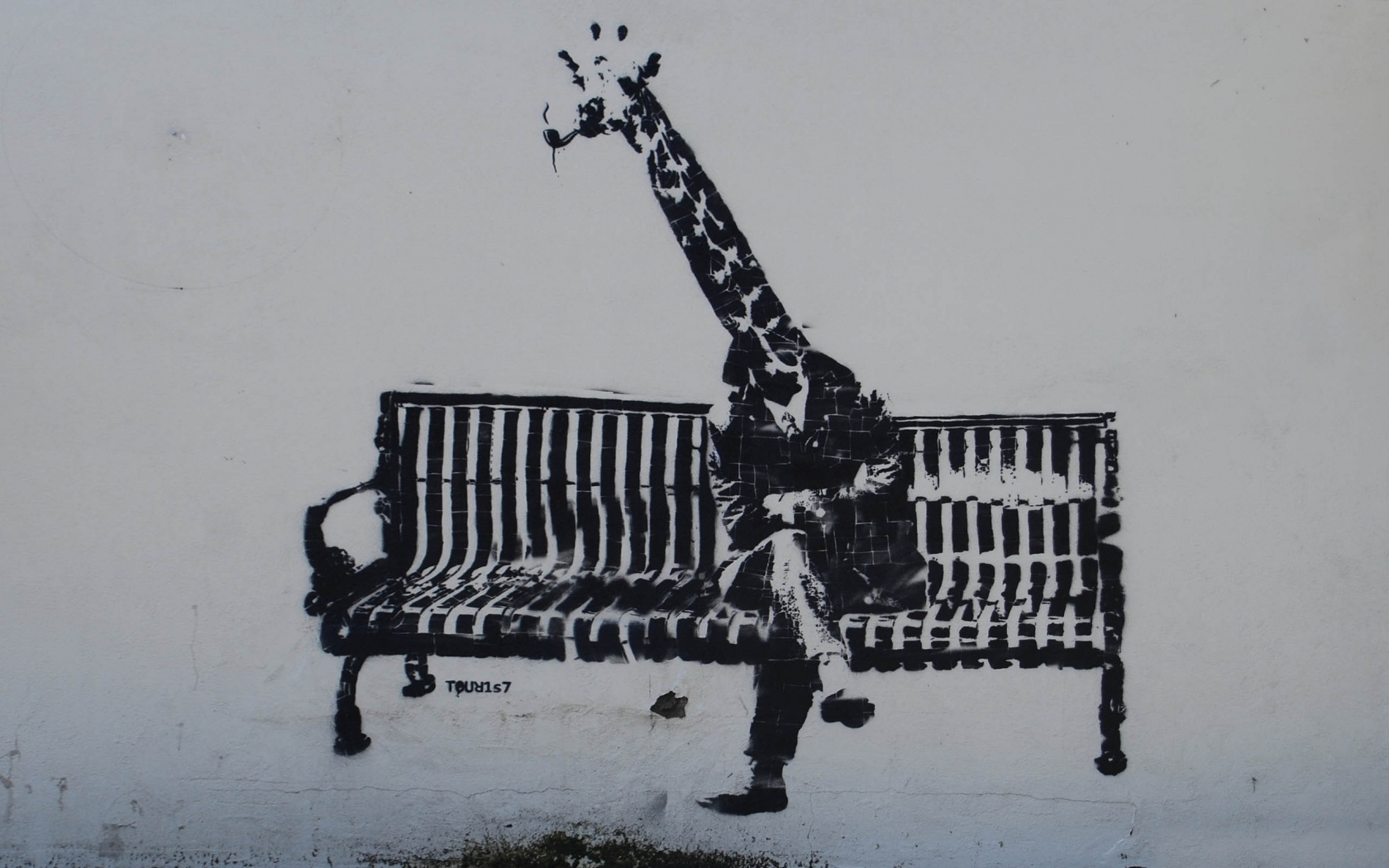 Giraffe Graffiti