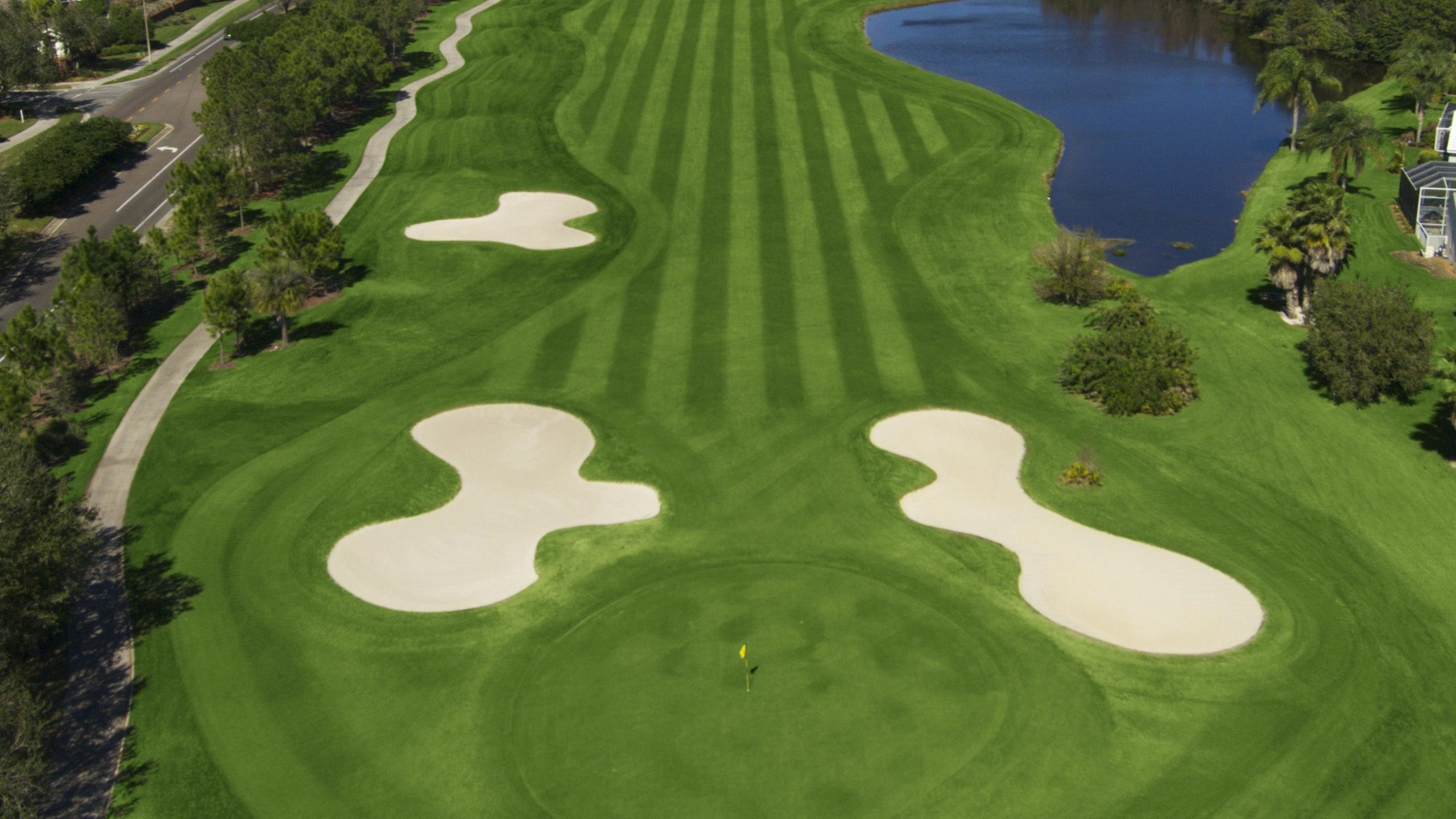 Golf Westchase Golf Club Tampa Florida