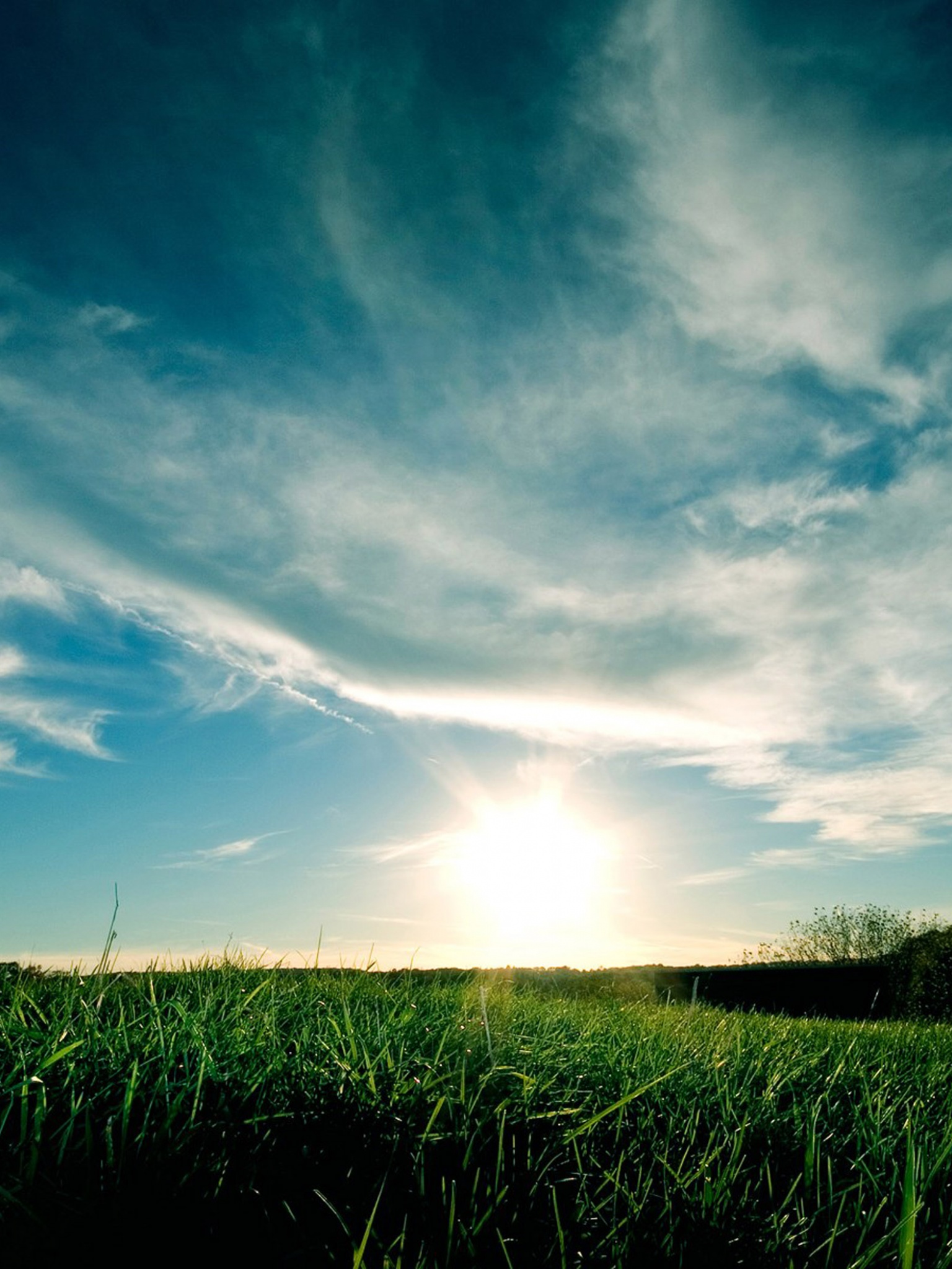 Grassy Sunset